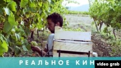 Реальное кино: Сын бакалейщика, мэр, деревня и весь мир